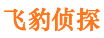 江洲侦探公司